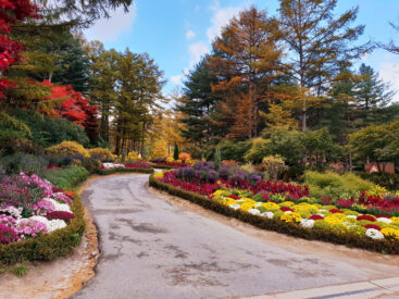 Korea Autumn Color Tour