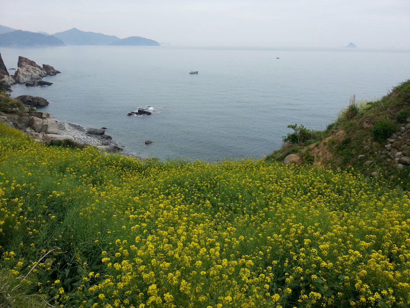 Namhae Island Tour