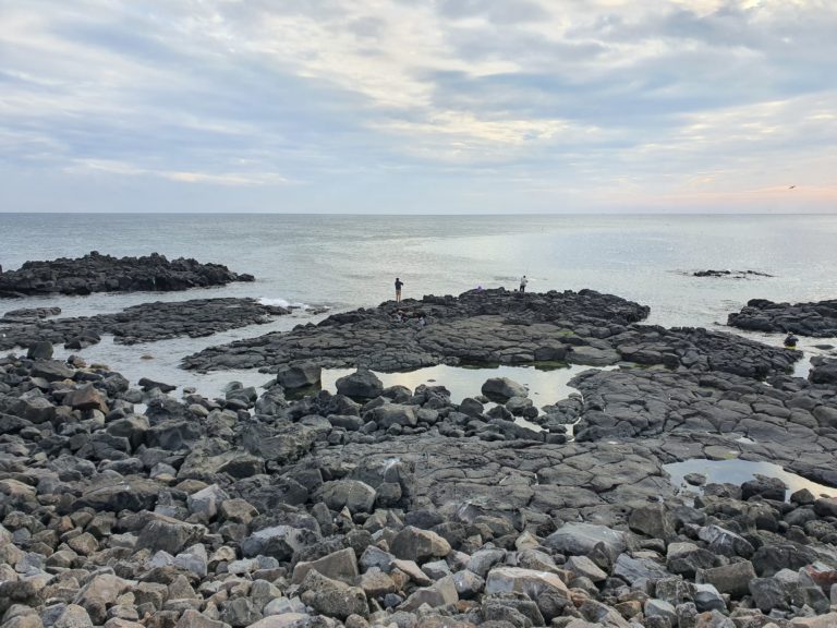 Sea Side Jeju