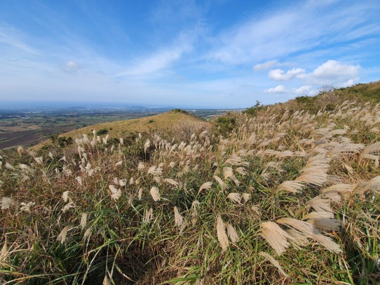 Jeju Oreum