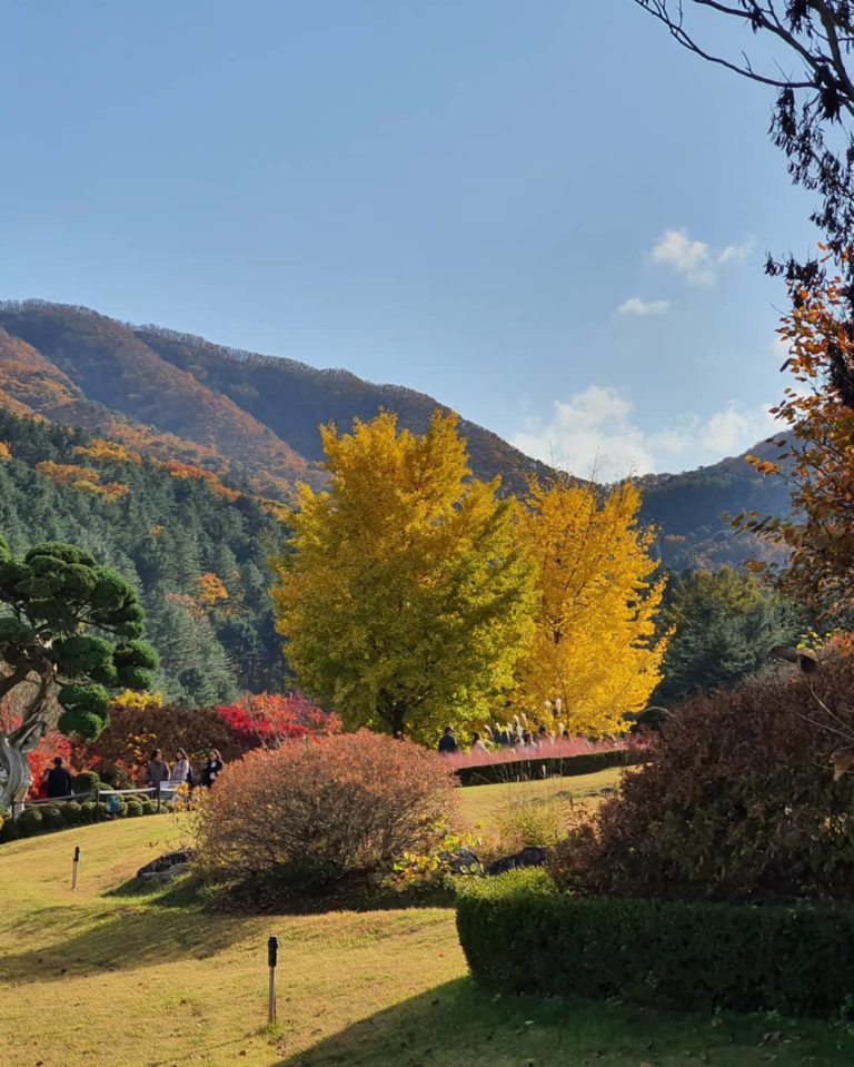 Autumn Color in Gapyeong Province
