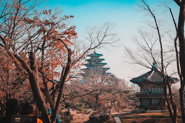 You are currently viewing 12 Best Places to Visit in South Korea