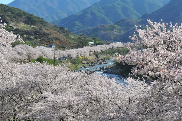 Jirisan national park, Korea. Korea hiking destination