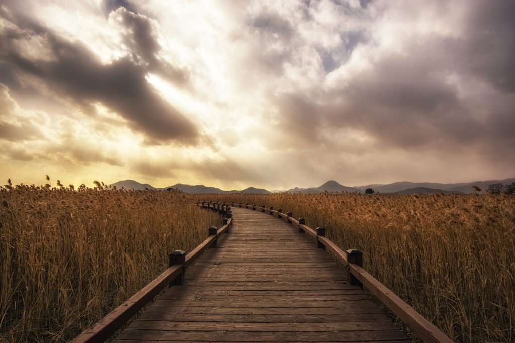 Suncheon wetland pathway