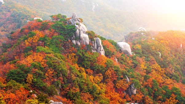 Korea travel in autumn