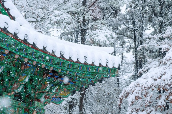 You are currently viewing A Frozen Odyssey: 8 Best Winter Festivals in Korea